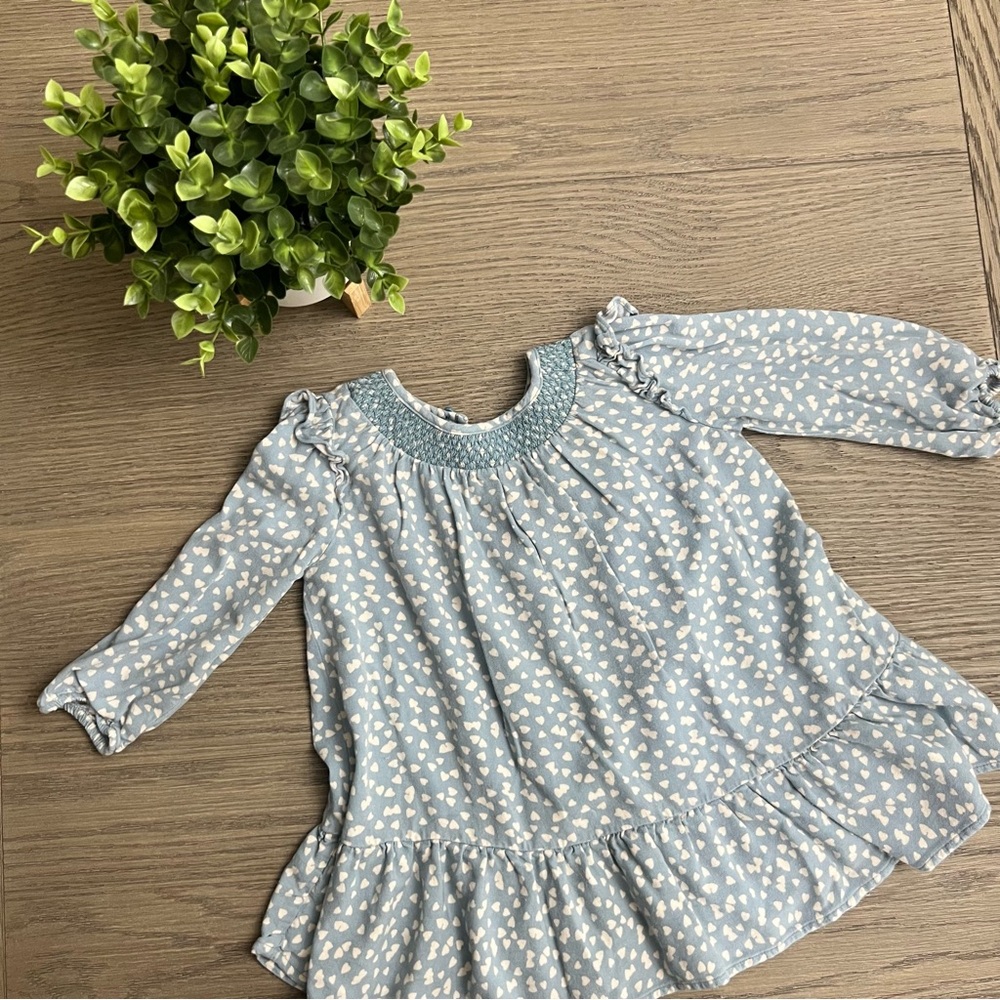 babyGap Animal Print Mint colored tunic prarie dress